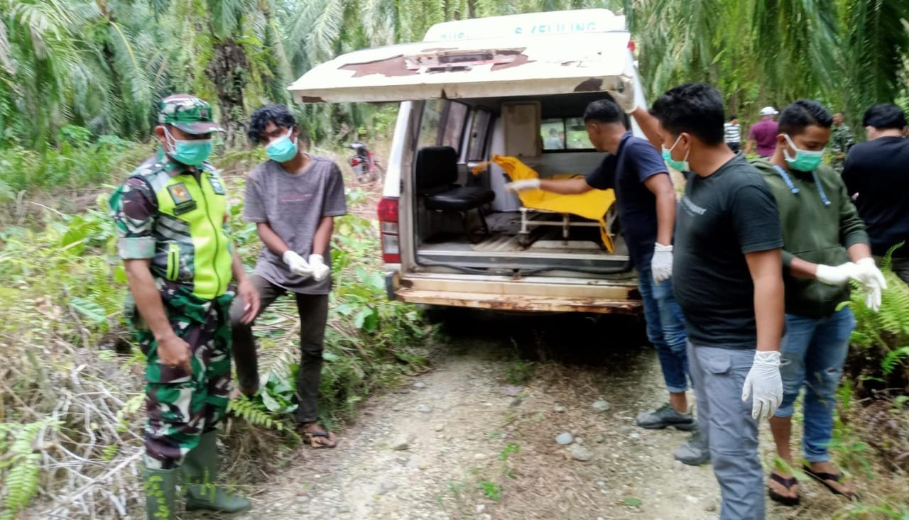 You are currently viewing Warga Temukan Mayat Pria di Kebun Sawit Aceh Singkil