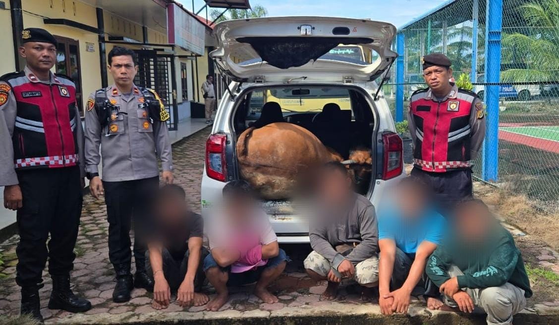 You are currently viewing Polres Aceh Singkil Tangkap Lima Pria Pencuri Sapi