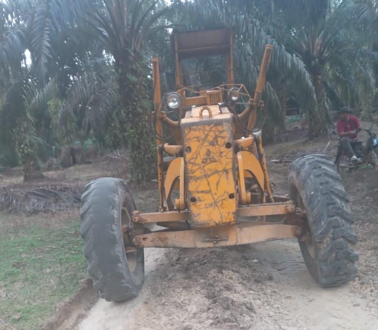 You are currently viewing PT Socfindo Kebun Lae Butar Bantu Kemitraan Poktan Sejahtera