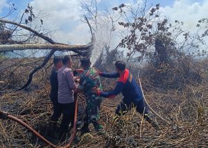 Read more about the article Lahan Gambut di Aceh Singkil Terbakar, BPBD Imbau Petani Buka Lahan Tak Dibakar