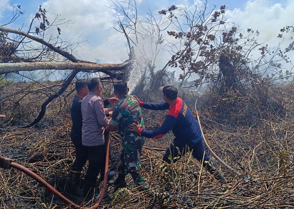 You are currently viewing Lahan Gambut di Aceh Singkil Terbakar, BPBD Imbau Petani Buka Lahan Tak Dibakar