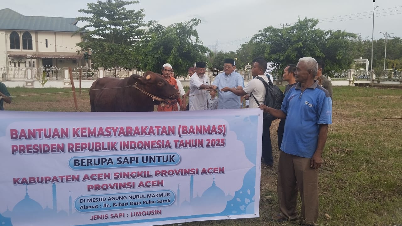 You are currently viewing Sapi Kurban Prabowo di Aceh Singkil Akan Disembelih Besok