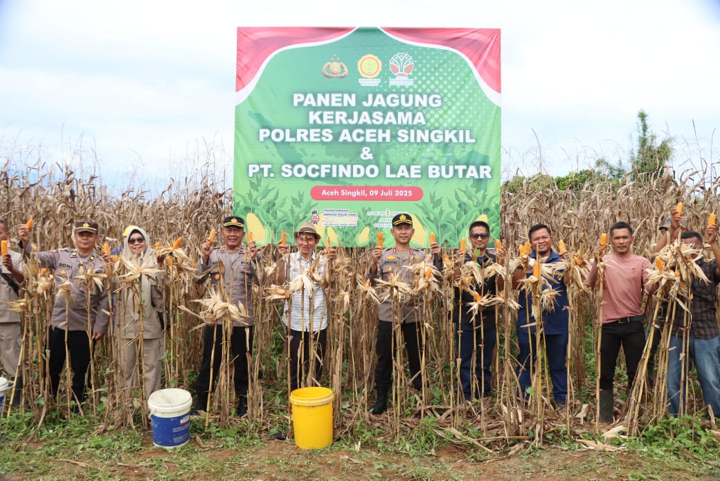 You are currently viewing Panen Jagung di Aceh Singkil, Polres Kolaborasi dengan Petani dan Perusahaan Swasta