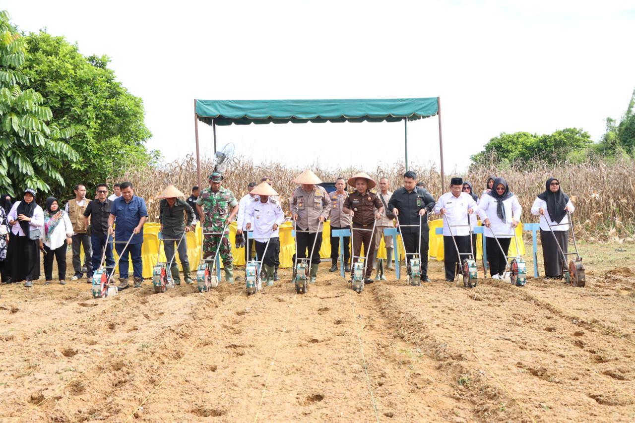 You are currently viewing Polres Aceh Singkil Tanam Jagung Serentak Dukung Ketahanan Pangan Nasional