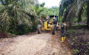 Read more about the article Pembangunan Jalan TMMD di Aceh Singkil Masuki Tahap Pengerasan