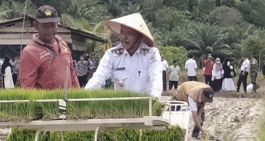 You are currently viewing Wabup Aceh Singkil Tanam Padi Wujudkan Komitmen Ketahanan Pangan