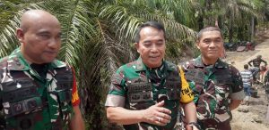 Read more about the article Wasev Mabesad Tinjau TMMD di Aceh Singkil