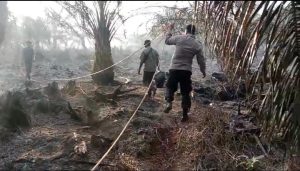 Read more about the article Api Ludeskan Lahan Sawit di Aceh Singkil, Polisi dan Warga Berjibaku