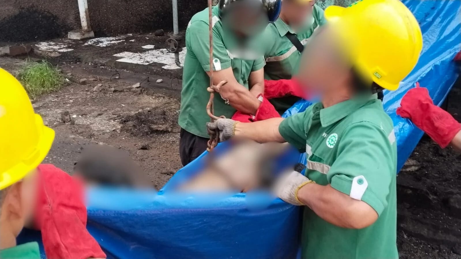 You are currently viewing LMND Soroti Dugaan Pelanggaran K3 di Pabrik Sawit Astra Agro di Aceh Singkil