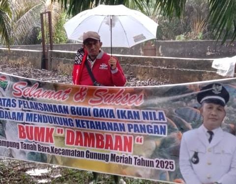 You are currently viewing Wujudkan Ketahanan Pangan, BUMDes Tanah Bara Kembangkan Budidaya Ikan Nila