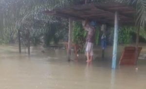 BUMDes Tanah Bara Rugi Puluhan Juta, 16 Ribu Bibit Ikan Nila Hanyut Terbawa Banjir
