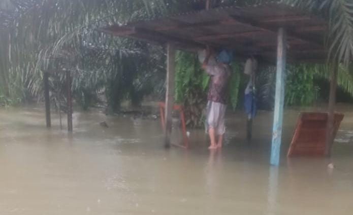 You are currently viewing BUMDes Tanah Bara Rugi Puluhan Juta, 16 Ribu Bibit Ikan Nila Hanyut Terbawa Banjir