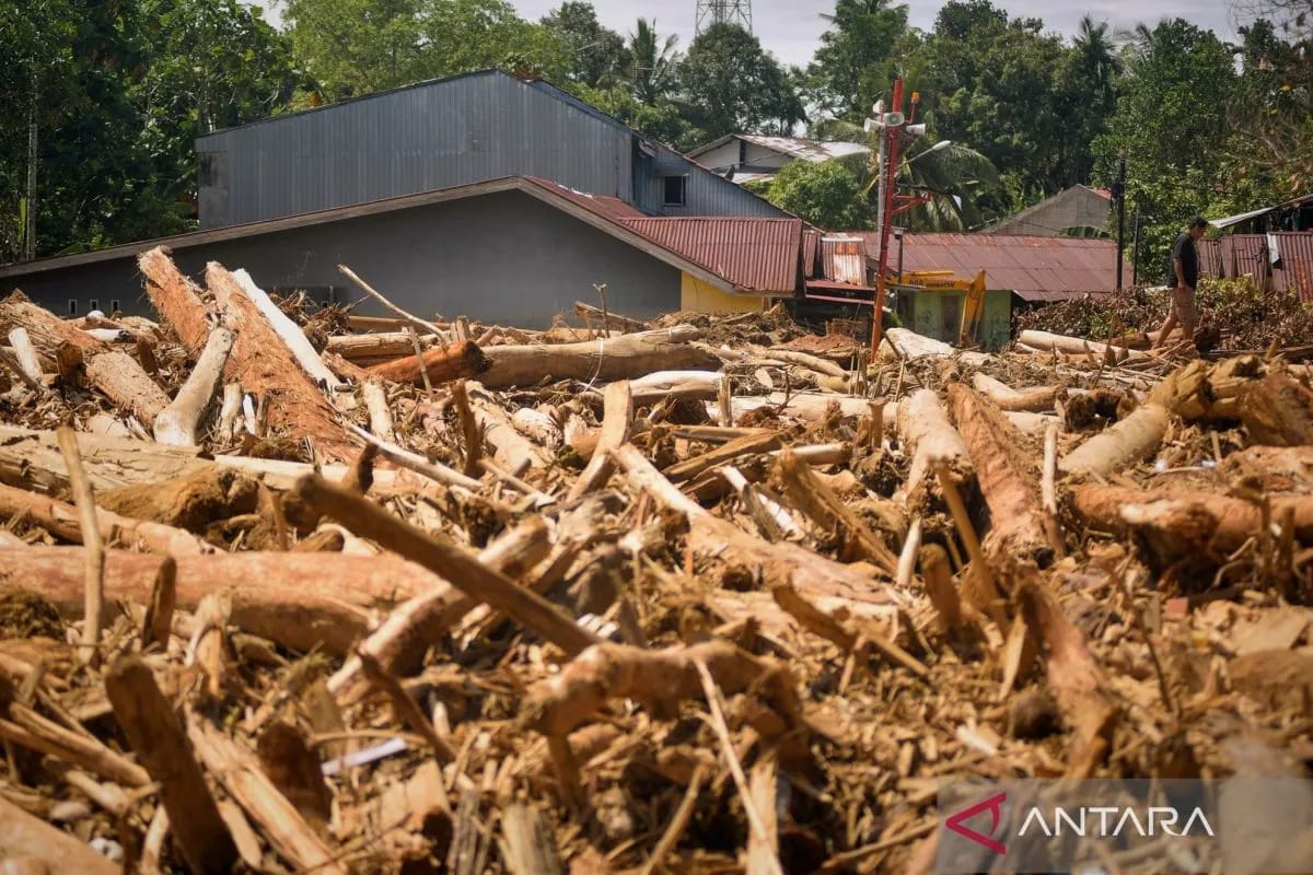 You are currently viewing LMND Apresiasi Kemenhut Izinkan Kayu Hanyut Dimanfaatkan Korban Banjir