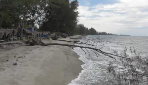 Read more about the article Puluhan Pondok Wisata di PCI Aceh Singkil Rusak Diterjang Angin Kencang dan Abrasi