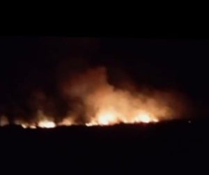 Read more about the article Kebakaran Lahan PT Delima Makmur, AMPAS Desak Polisi Bertindak