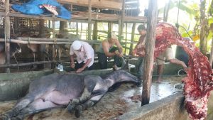 AMPAS Minta APH Selidiki Pengadaan Daging Meugang Banpres di Aceh Singkil