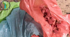 Read more about the article Dugaan Daging Meugang Bantuan Presiden Busuk di Aceh Singkil, AMPAS Desak Audit