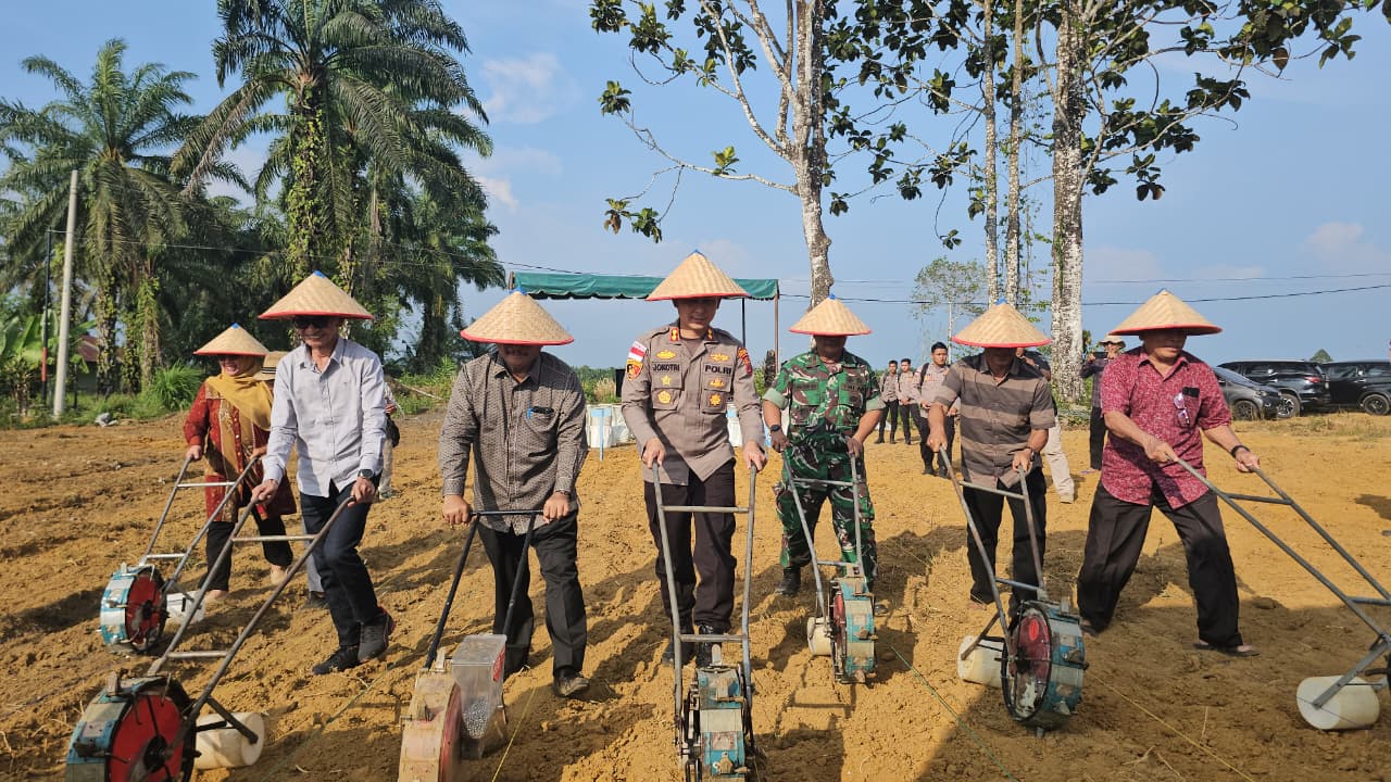 You are currently viewing Polres Aceh Singkil dan Pemda Tanam Jagung Dukung Swasembada Pangan