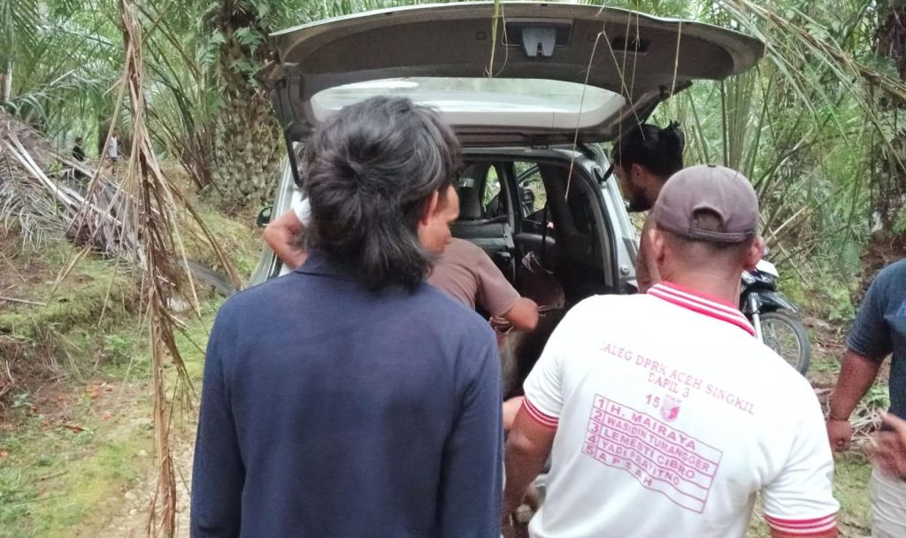 Diduga Pasutri di Aceh Singkil Bacok-bacokan, Polisi Selidiki Motif