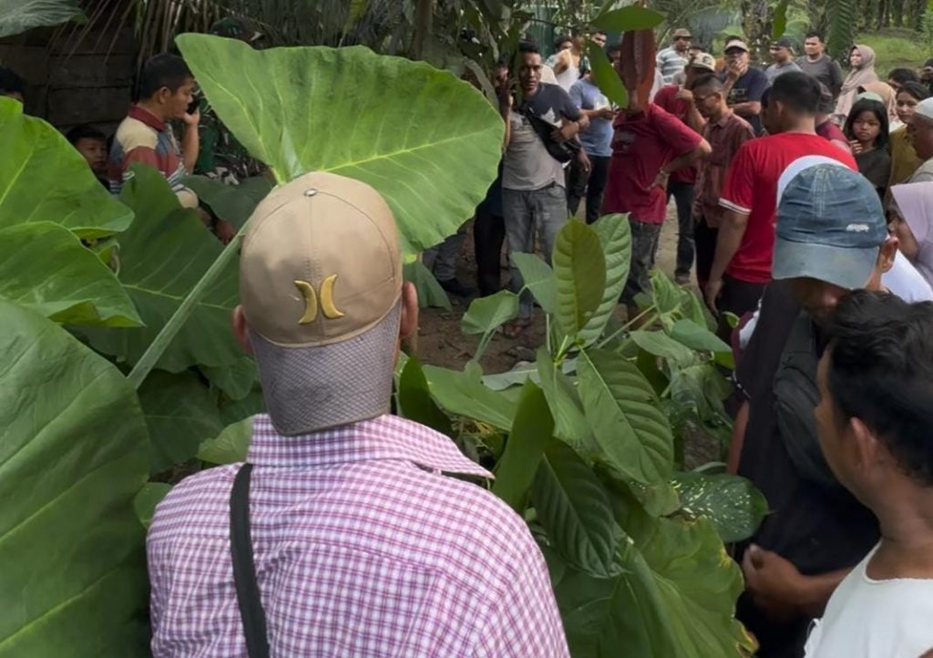 Sempat Mengeluh Pusing, Pria Ditemukan Meninggal di Belakang Agen BSI Link di Aceh Singkil