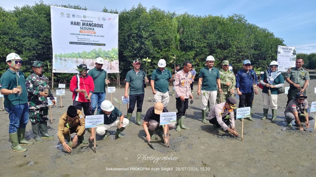 Tanam 3.000 Mangrove, Pemkab Aceh Singkil Gandeng Dunia Usaha Jaga Pesisir