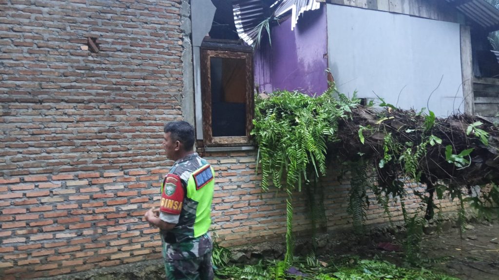 Pohon Tumbang Timpa Rumah Warga di Simpang Kanan, Kerugian Capai Rp 50 Juta