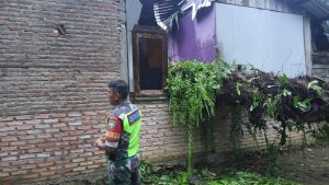 Read more about the article Pohon Tumbang Timpa Rumah Warga di Simpang Kanan, Kerugian Capai Rp 50 Juta